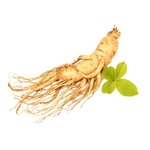 1 kg Ginseng - Liquid Extract [Glycerine Based]