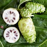 500 g Quora Noni