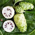 Quora Noni - Active Ingredients