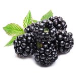 100 g Blackberry Powder - Fruit & Herbal Powder Extracts