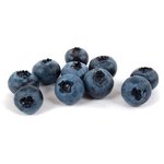 100 g Blueberry Powder - Fruit & Herbal Powder Extracts