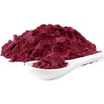 20kg Blueberry Powder - Fruit & Herbal Powder Extracts