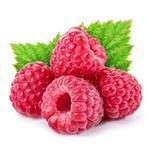 Raspberry Powder - Fruit & Herbal Powder Extracts