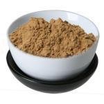 100 g Shiitake Mushroom Powder [15:1] Extract - Fruit & Herbal Powder Extracts