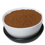 100 g Chaga Mushroom Powder [15:1] Extract - Fruit & Herbal Powder Extracts