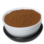 Chaga Mushroom Powder [15:1] Extract - Fruit & Herbal Powder Extracts