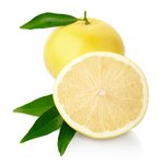 100 ml Grapefruit White Natural Blend Essential Oil