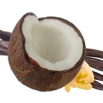 17mL Coconut & Vanilla Premium Fragrant Oil