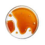 100mL Vitamin E Natural - COSMOS Approved