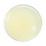 Odour Absorber - Palm Free - (Skin and Hair Active)