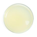 20kg Odour Absorber - Palm Free