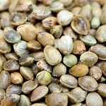 500 ml Golden Hemp Seed Virgin Oil
