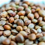 Golden Hemp Seed Virgin Oil - Certified Organic Vegetable & Carrier Oils - ACO 10282P