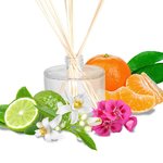 30mL Happiness Essential Oil Blend