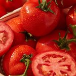 100mL Tomato Seed Virgin Oil