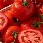 Tomato Seed Virgin Oil - Vegetable, Carrier, Emollients & other Oils