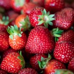100mL Strawberry Seed Virgin Oil
