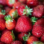 Strawberry Seed Virgin Oil - Vegetable, Carrier, Emollients & other Oils