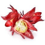 1 LT Hibiscus Virgin - Certified Organic Vegetable Oil - ACO 10282P