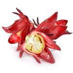 Hibiscus Virgin - Certified Organic Vegetable Oil - ACO 10282P