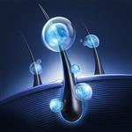 Complexyl - Active Ingredients