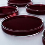 15mL 1% D&C Red #33 solution