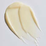 17g Encapsulated Biotin Complex