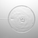 5kg ALGAKTIV® RetinART