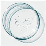 Lacto PDRN (Vegan) - (Skin and Hair Active)