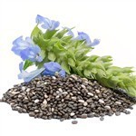 Chia Seed Virgin Oil