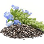 500mL Chia Seed Virgin Oil