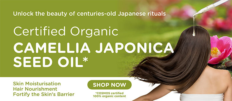 Camellia Japonica Seed Oil