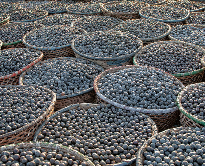 Acai Virgin Oil