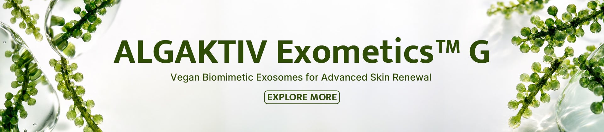 ALGAKTIV® Exometics™ G: Vegan Biomimetic Exosomes for Advanced Skin Renewal