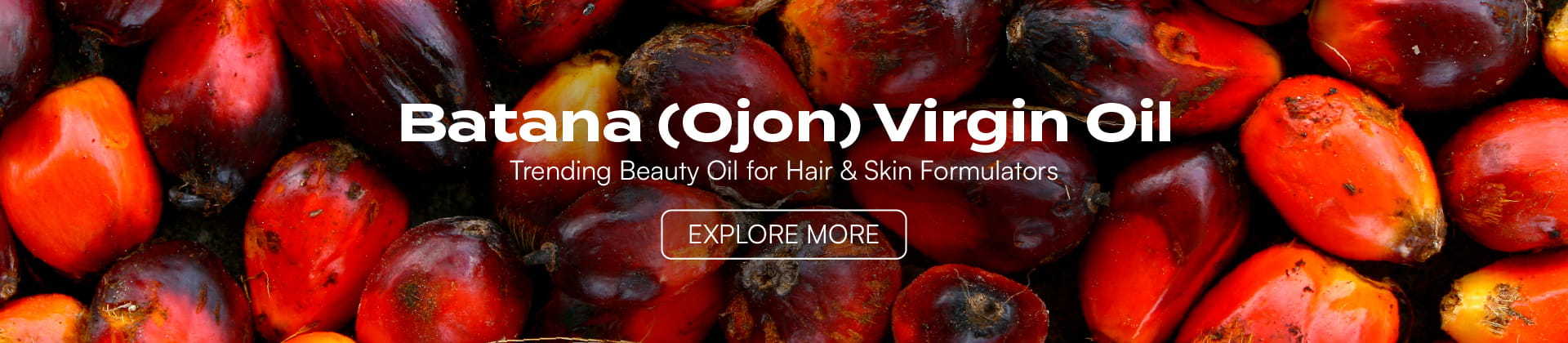 Batana&nbsp;(Ojon) Virgin Oil: Trending Beauty Oil for Hair & Skin Formulators