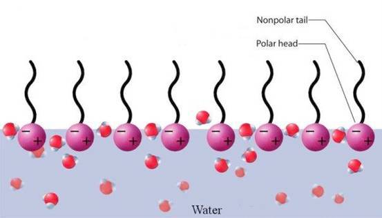 Adding Essential Oils to Surfactant Solutions