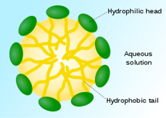 Adding Essential Oils to Surfactant Solutions