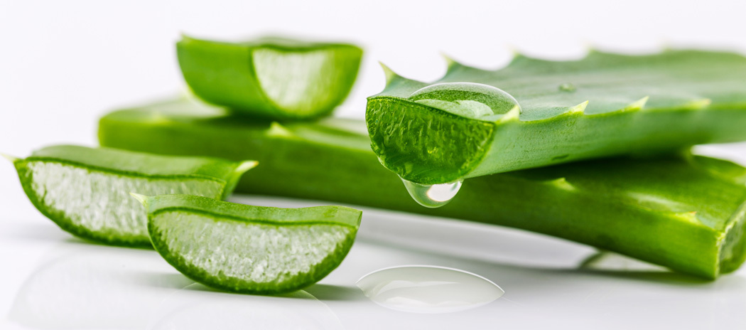 Aloe Vera Gel