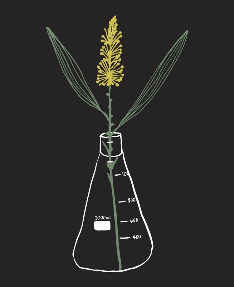 Aromatica Logo
