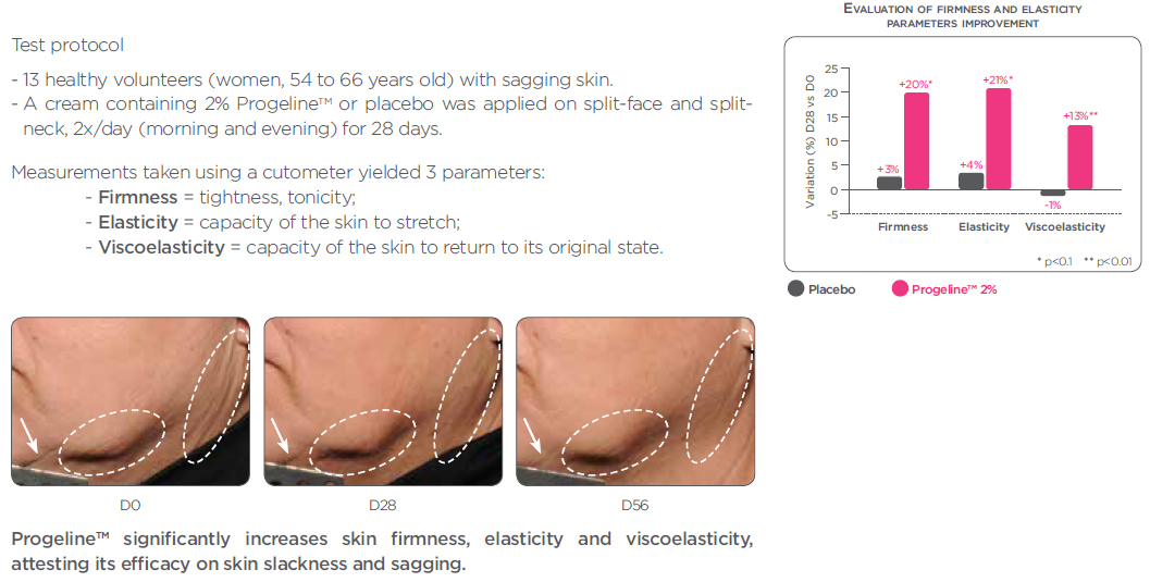 Firmness-Elasticity-Jawline