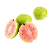 Guava Seed Virgin Oil Guava Seed Virgin Oil