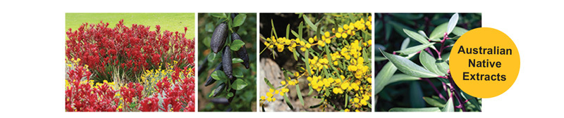 Australian Native Extracts Australian Native Extracts
