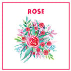 Rose Face Cream - Rose Range Skincare