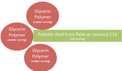 Polyglyceryl 3 Palmitate